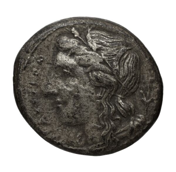Hicetas Syracuse Puglisi 2009 328, аверс, bnf-iris