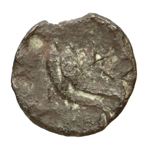 Taras Historia Numorum Italy 1088, реверс, bnf-iris
