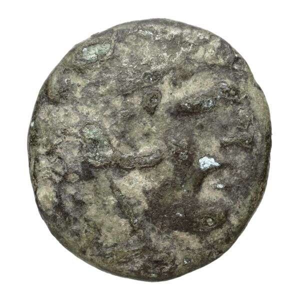 Philip V Macedon AMNG III.2 13-14, аверс, bnf-iris