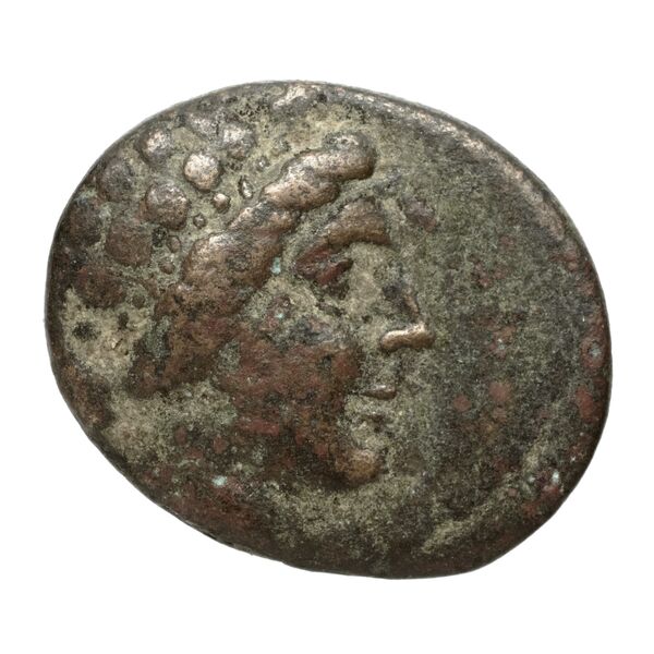 Chalcis Picard 1979 Series I group II issue 31-41 bronze, аверс, bnf-iris