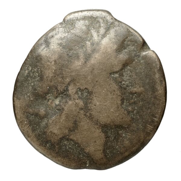 Salapia Historia Numorum Italy 692, аверс, bnf-iris