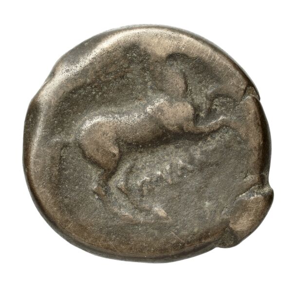Salapia Historia Numorum Italy 692, реверс, bnf-iris