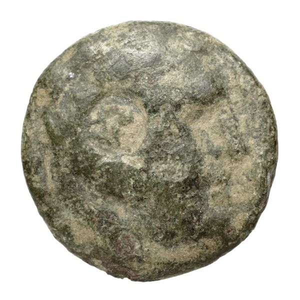 Philip V Macedon AMNG III.2 13-14, аверс, bnf-iris