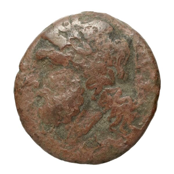 Arpi Historia Numorum Italy 642, аверс, bnf-iris