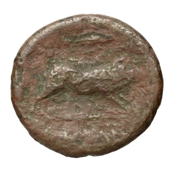 Arpi Historia Numorum Italy 642, реверс, bnf-iris