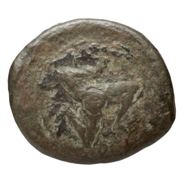 Agathocles of Syracuse Syracuse Calciati 1986 82, реверс, bnf-iris