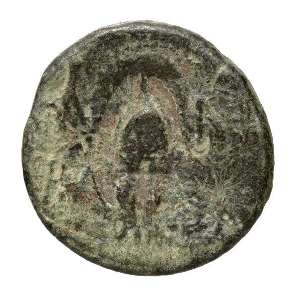 Antigonus II Gonatas Macedon Panagopoulou 2020 9.8.2, реверс, bnf-iris