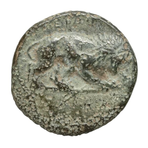 Perdiccas III of Macedon Macedon BMC Perdiccas III 2-7, реверс, bnf-iris