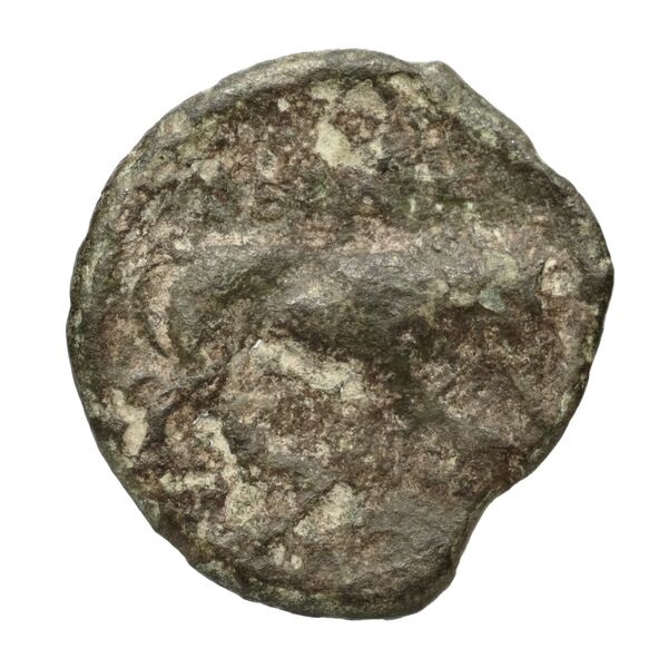 Perdiccas III of Macedon Macedon BMC Perdiccas III 2-7, реверс, bnf-iris