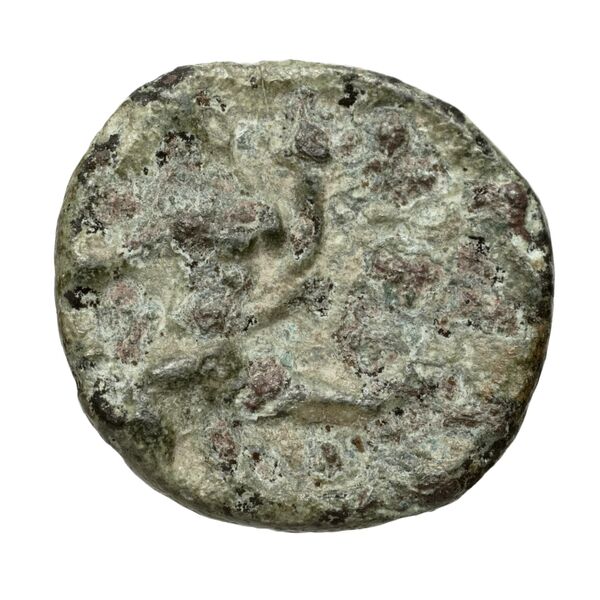 Taras Historia Numorum Italy 1087, реверс, bnf-iris