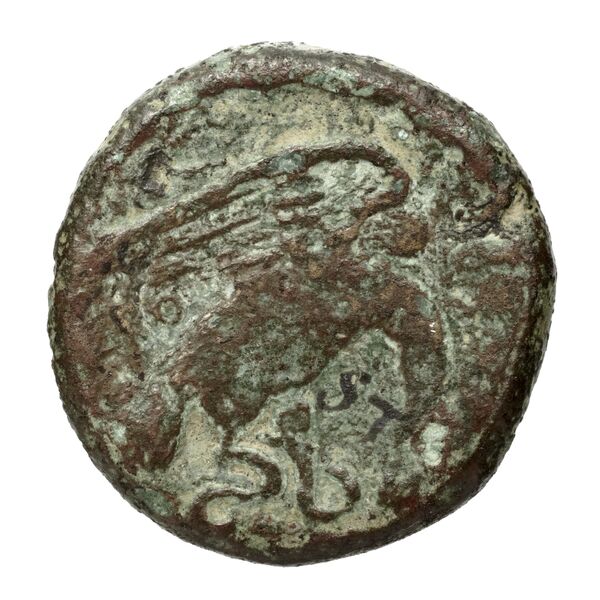 Croton Historia Numorum Italy 2217-2223, реверс, bnf-iris