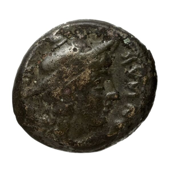 obverse Teanum Sidicinum Historia Numorum Italy 456