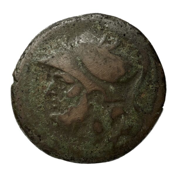 Brettii Bruttium Historia Numorum Italy 1987, аверс, bnf-iris