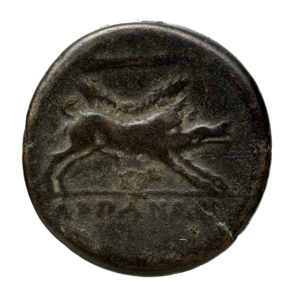 Arpi Historia Numorum Italy 642, реверс, bnf-iris