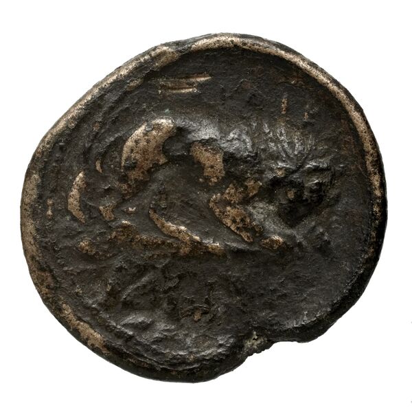Perdiccas III of Macedon Macedon BMC Perdiccas III 2-7, реверс, bnf-iris