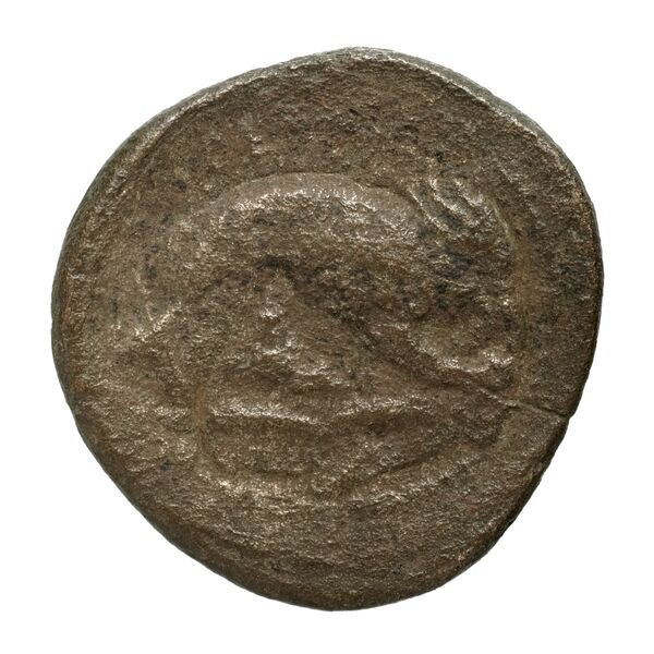 Perdiccas III of Macedon Macedon BMC Perdiccas III 2-7, реверс, bnf-iris