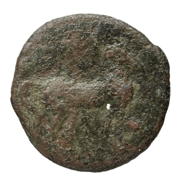 Carthaginian Empire Carthage Alexandropoulos 2007 24, реверс, bnf-iris