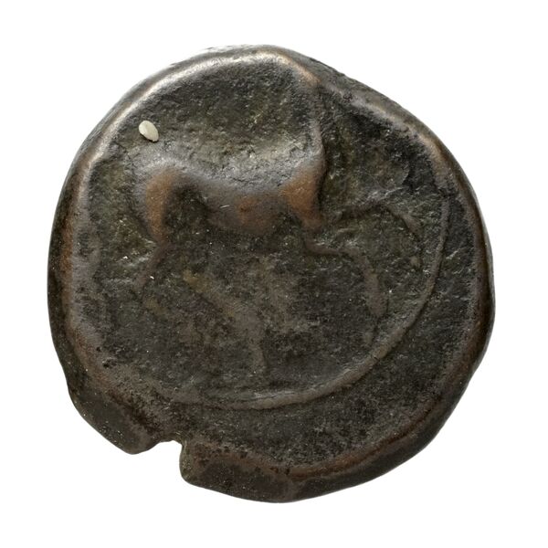 Carthaginian Empire Carthage Alexandropoulos 2007 19, реверс, bnf-iris