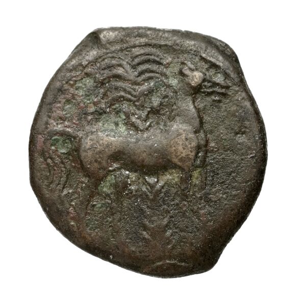 Carthaginian Empire Carthage Alexandropoulos 2007 18, реверс, bnf-iris