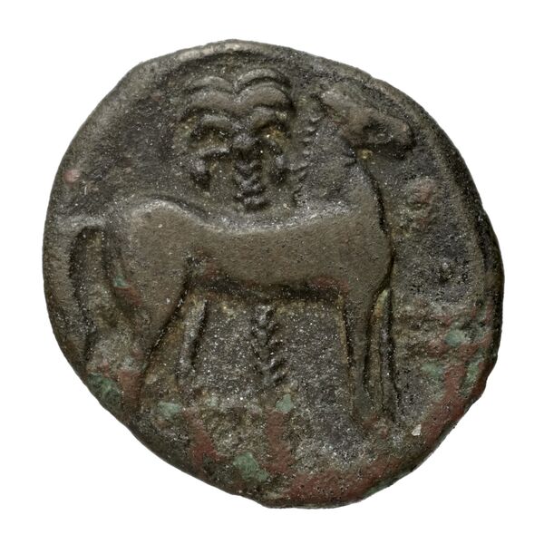 Carthaginian Empire Carthage Alexandropoulos 2007 18, реверс, bnf-iris