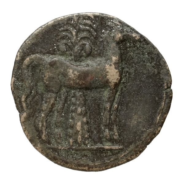 Carthaginian Empire Carthage Alexandropoulos 2007 18, реверс, bnf-iris