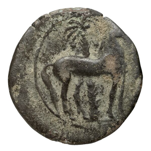 Carthaginian Empire Carthage Alexandropoulos 2007 18, реверс, bnf-iris