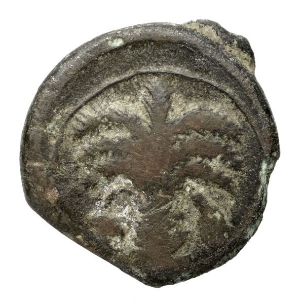Carthaginian Empire Carthage Alexandropoulos 2007 20, аверс, bnf-iris