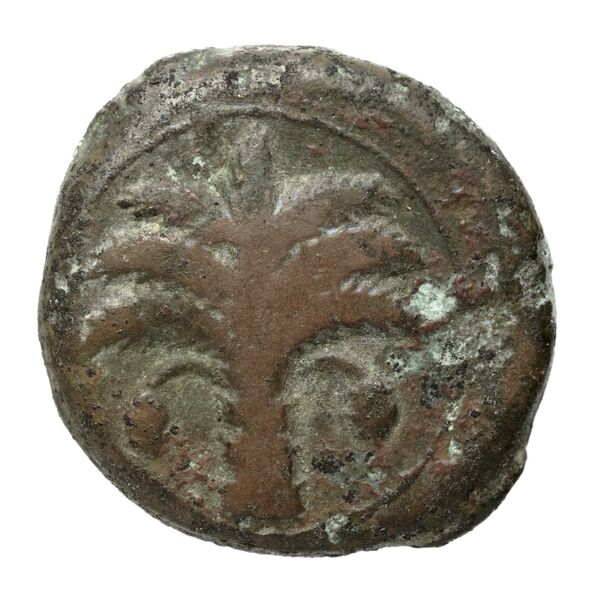 Carthaginian Empire Carthage Alexandropoulos 2007 20, аверс, bnf-iris