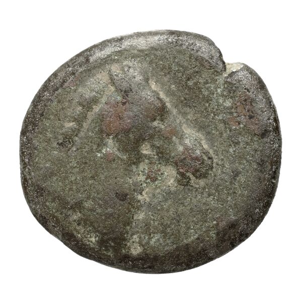 Carthaginian Empire Carthage Alexandropoulos 2007 20, реверс, bnf-iris