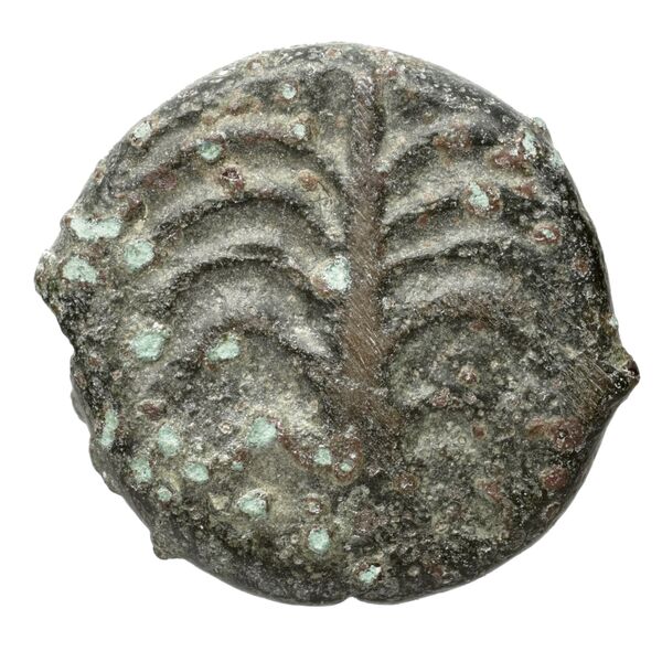 Carthaginian Empire Carthage Alexandropoulos 2007 20, реверс, bnf-iris