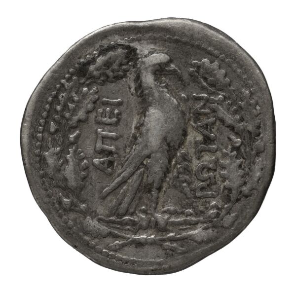 Epirote League Epirus Franke 1961 Epirote Koinon Group II, реверс, bnf-iris