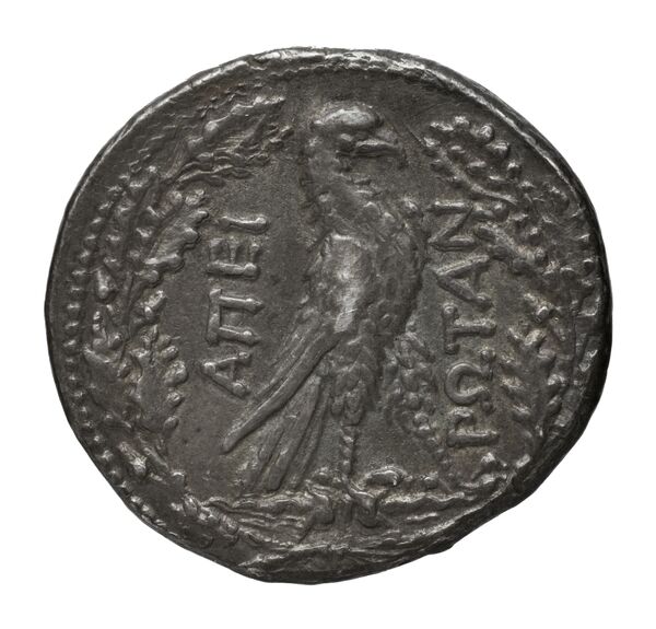 Epirote League Epirus Franke 1961 Epirote Koinon Group II, реверс, bnf-iris