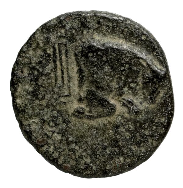 Magnesia ad Maeandrum BMC Magnesia 17-18, реверс, bnf-iris