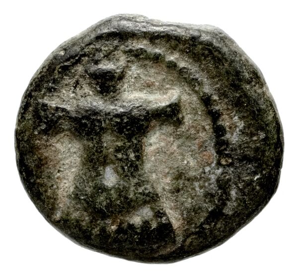 Aphrodisias, Caria MacDonald 1992 31, аверс, bnf-iris