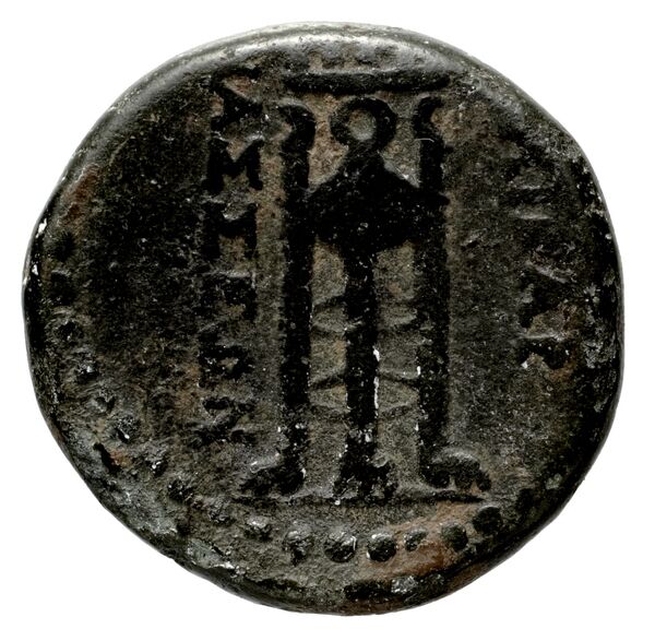 Halicarnassus BMC Halicarnassus 14-17, реверс, bnf-iris