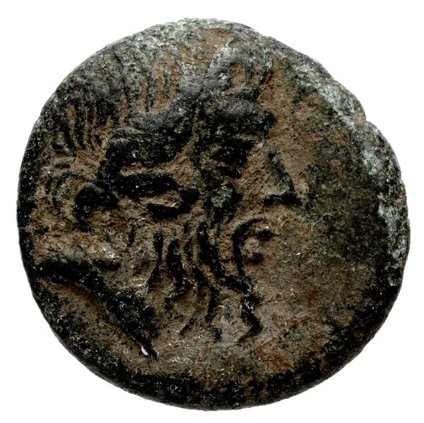 Halicarnassus BMC Halicarnassus 20-37, аверс, bnf-iris