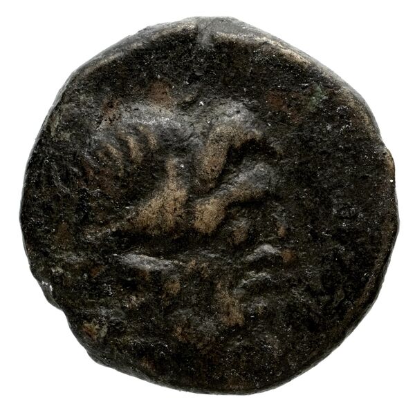 Halicarnassus BMC Halicarnassus 20-37, аверс, bnf-iris