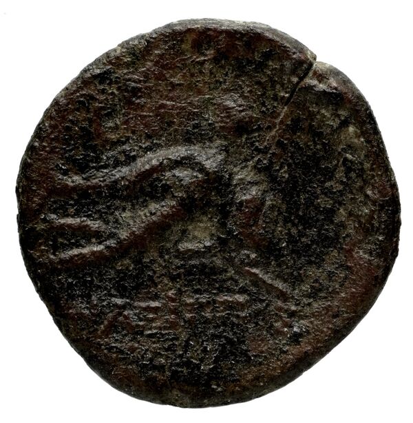 Iasos ashton 2007 pl. 8, 52-12, 162, реверс, bnf-iris