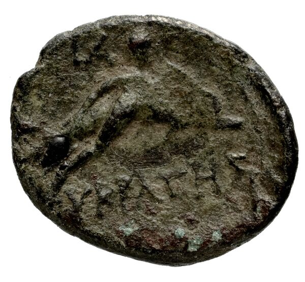 Iasos ashton 2007 pl. 8, 52-12, 162, реверс, bnf-iris