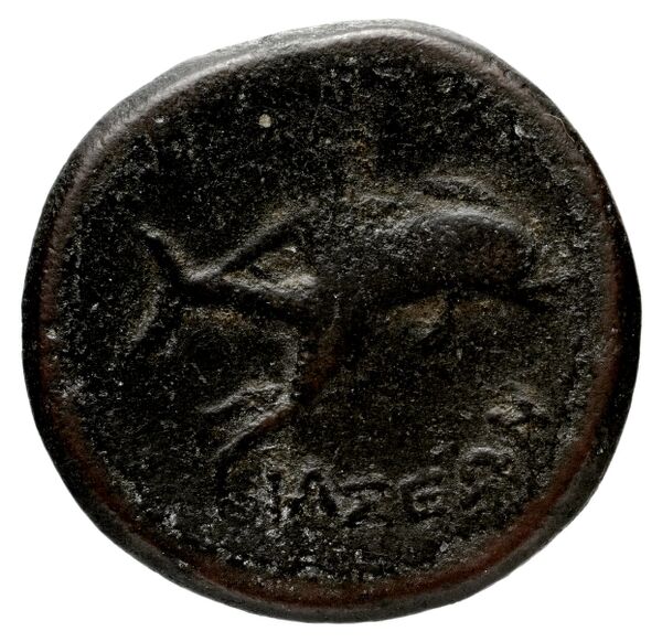 Iasos ashton 2007 pl. 8, 52-12, 162, реверс, bnf-iris