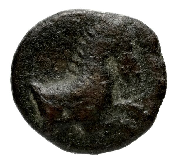 Mylasa Akarca 1959 32, аверс, bnf-iris