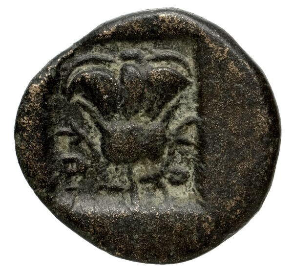 Rhodes BMC Rhodes 327-33, реверс, bnf-iris