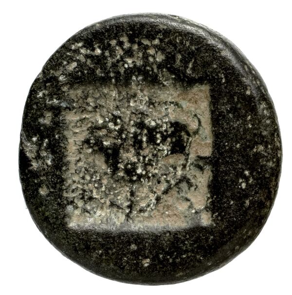 Rhodes BMC Rhodes 327-33, реверс, bnf-iris