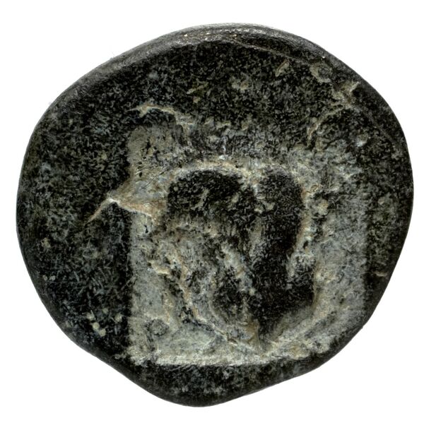 Rhodes BMC Rhodes 327-33, реверс, bnf-iris