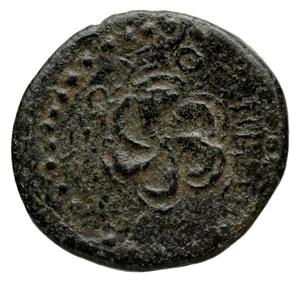 Rhodes BMC Rhodes 362-3, реверс, bnf-iris