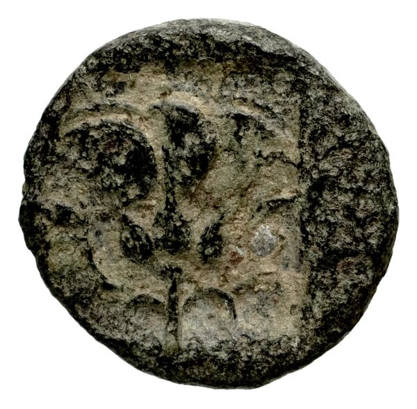 Rhodes BMC Rhodes 327-33, реверс, bnf-iris