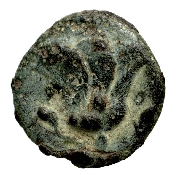 Rhodes Ashton 2001 332, реверс, bnf-iris