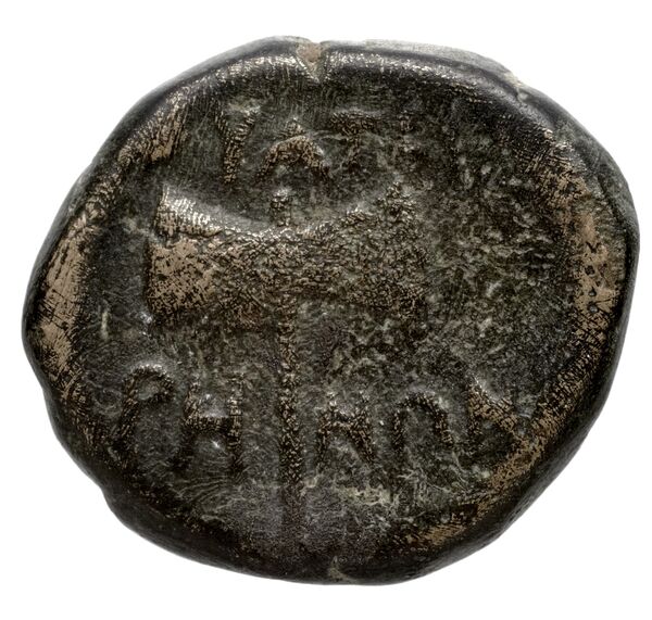 Thyateira Hochard 2020 2.1.2359, reverse, bnf-iris