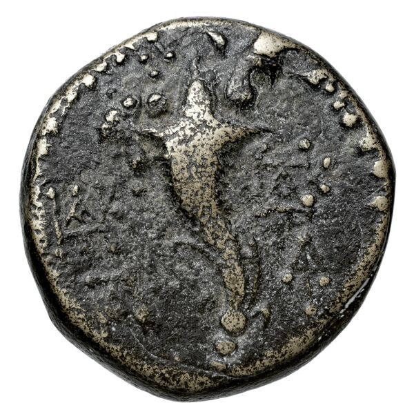 Tarsus SNG Levante 915-6, реверс, bnf-iris