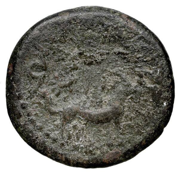 Tarsus SNG Levante 926-32, 962-70, реверс, bnf-iris